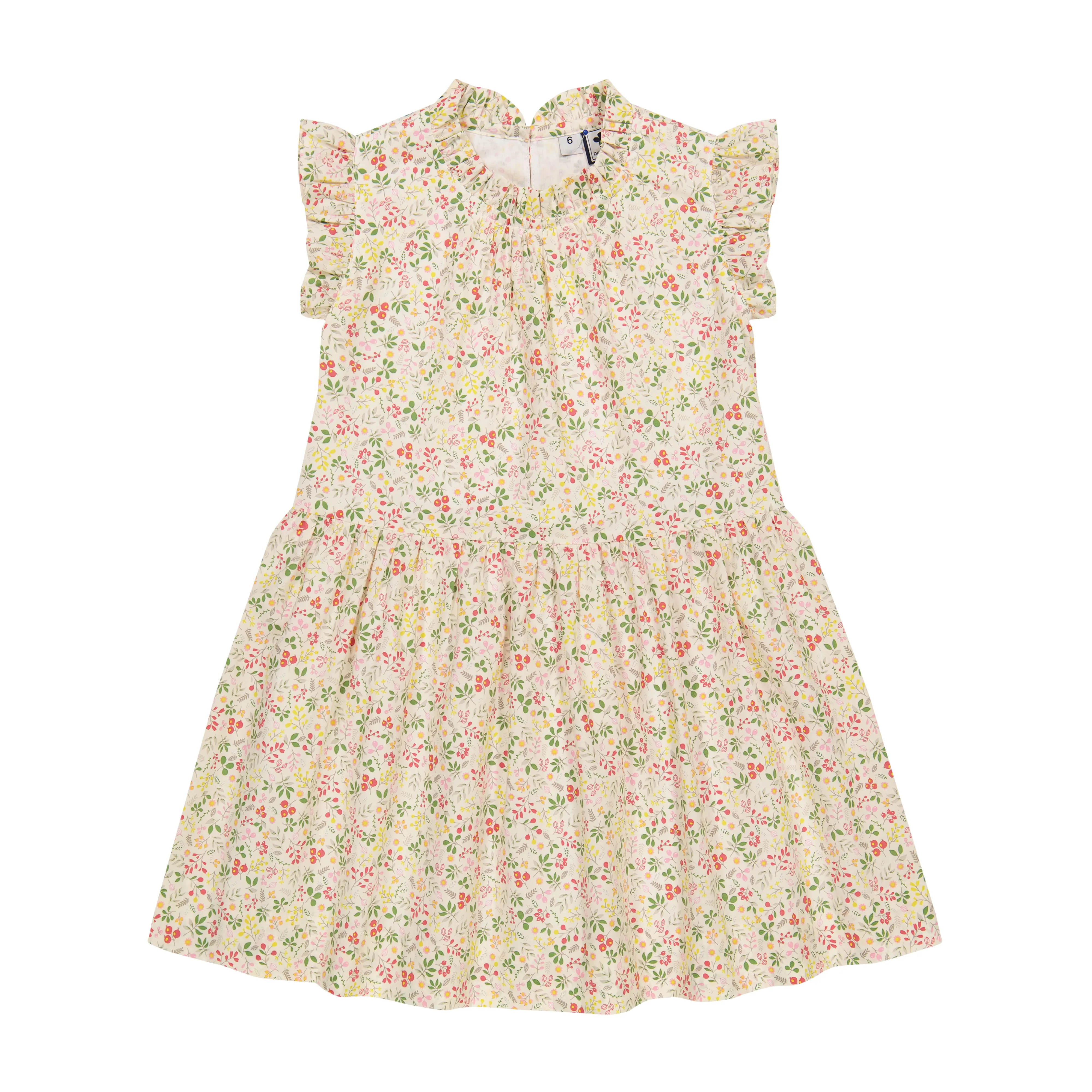 Kinsley Flora Dropwaist Dress