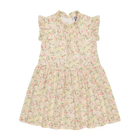 Kinsley Flora Dropwaist Dress